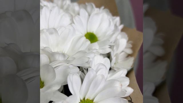 Букет из 7 кустовых хризантем смотреть онлайн