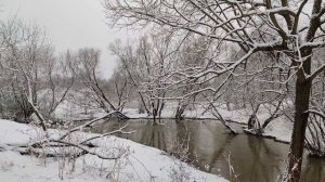 Снежное мартовское утро