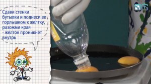 Книга 1 / Опыты с куриным яйцом / 19 - Веселая яичница