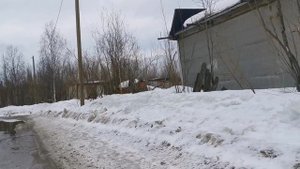 Рукодельные будни апреля #вышивка_крестом #вязаныеигрушки