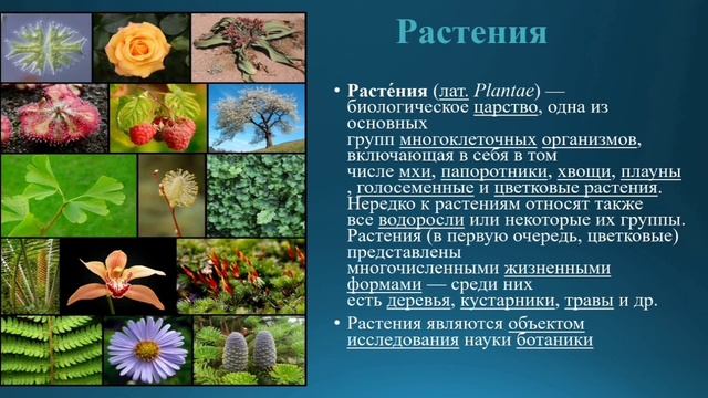 Естествознание 6 класс. Тема урока: Многообразие живых организмов.