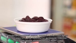 Сердечная недостаточность у собак