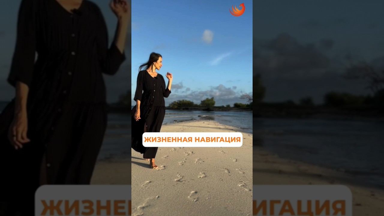 #зож #успех #ольганатан #деньги #здоровье #бизнес #академияуспеха смотреть онлайн