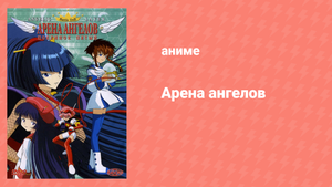 Арена ангелов 3 серия «Кто ты? Нервный урок Мисаки для сердца» (аниме-сериал, 2001)