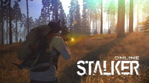 Stay Out (Держаться подальше) Сталкер Онлайн SO Развитие С Нуля VK play EU СЕРВЕР N22 Уровень 59