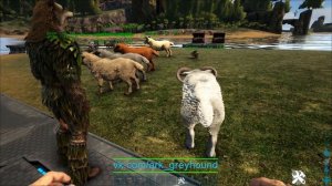 ? S+ Sheep Herder | Пастух S+