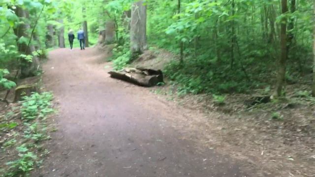 Парк Осиновая роща. Можно купаться! смотреть онлайн