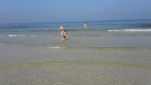 ОАЭ. ШАРДЖА. ПЕРСИДСКИЙ ЗАЛИВ. ОБЗОР ПЛЯЖА. BEACH TIMINGS. КУПАНИЕ ШАРДЖА. НОЯБРЬ. ОТДЫХ В ЭМИРАТАХ.