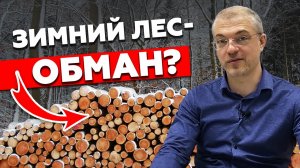 Почему лучше строить дом зимой | Строительство из зимнего леса