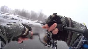 ЛОВЛЯ ГОЛЬЦА НА ДЖИГ КАМЧАТКА