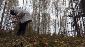 мир снюсоедов 1