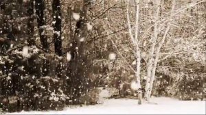 Футаж Снег 47.mp4