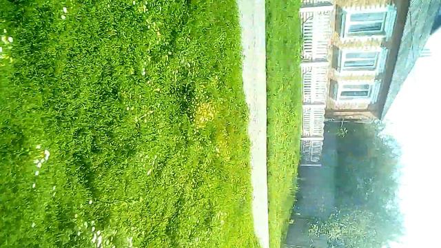 Опортаменты нашего села смотреть онлайн