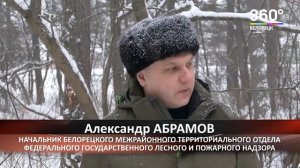 Закон о валежнике вступил в силу