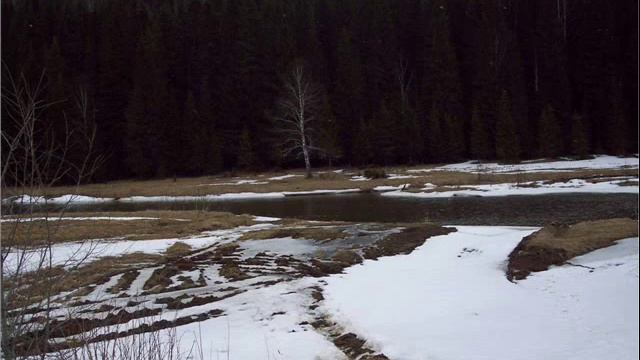 Ревун Койва 2009г смотреть онлайн