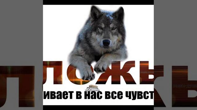 Жизнь на этом не заканчивается! смотреть онлайн