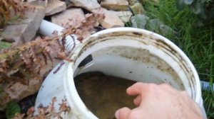 ОБЗОР. 100% РАБОЧИЙ ФИЛЬТР ДЛЯ ПРУДА.