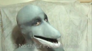 Dolphin Muzzle