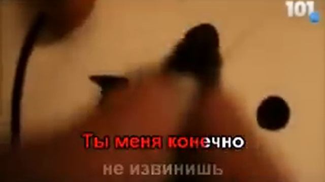 1.0 КАРАОКЕ СЕРГЕЙ НАГОВИЦЫН - ГОРОДСКИЕ ВСТРЕЧИ смотреть онлайн