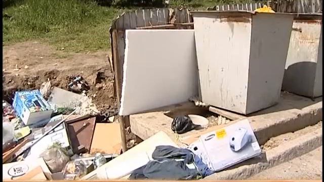 Крысы в городе смотреть онлайн