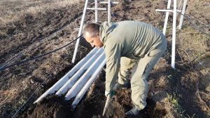 Виноград, укрытие на зиму шифером.