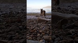 Купание в Охотском море.