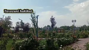 Таъбири хоб: мағзи сар, одами мурда, қайчи, қанд,шакар.