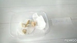 Влияние солнечного тепла на жизнь растений. Часть 1