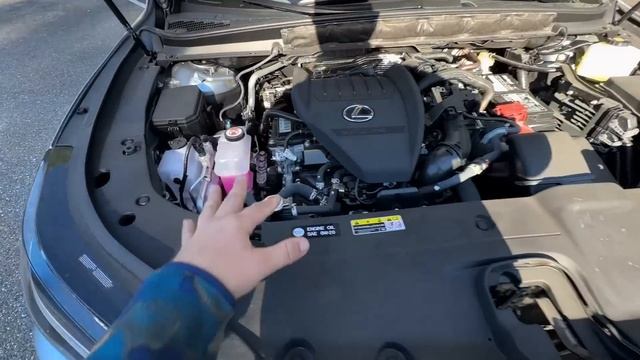 Запретный Плод ! Lexus RX 350 2023 F Sport ! Из США от Флорида 56