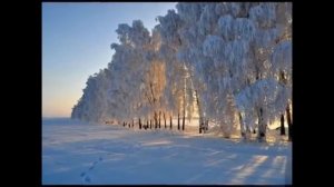 ПАМЯТИ ТАТЬЯНЫ СНЕЖИНОЙ