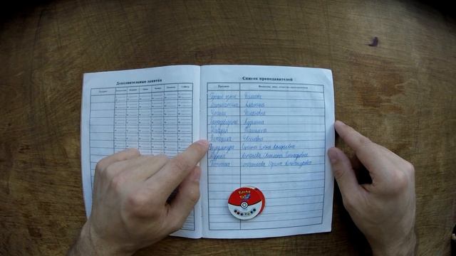 Мой дневник 2001 года - POKEMON смотреть онлайн