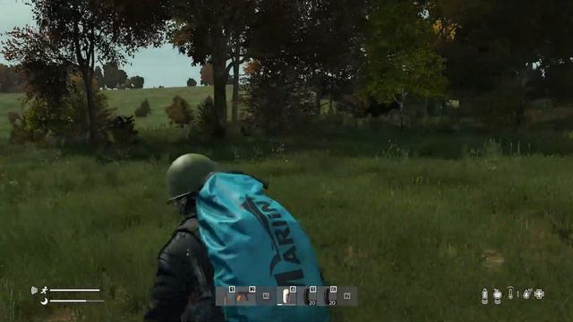 Dayz: #Выживаем (Какой то PVE-сервер 24RUS) смотреть онлайн