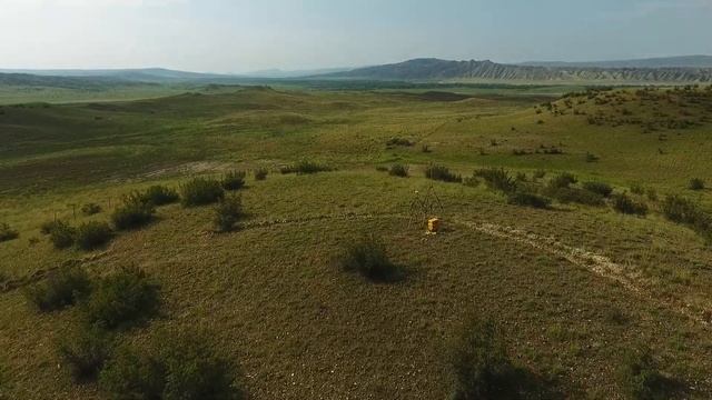 BioDeposit Посадка 2020: Разметка плантации смотреть онлайн