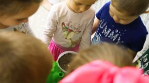 Большая презентация воспитателя детского сада