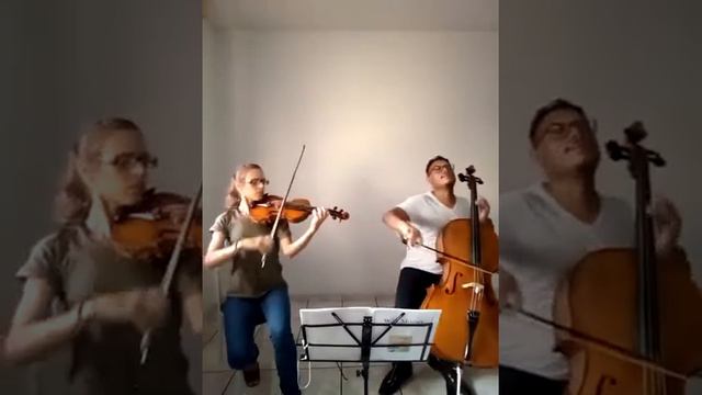 Mozart - 12 EASY DUETS for violin & cello. II. MINUETTO & TRIO (D-M)