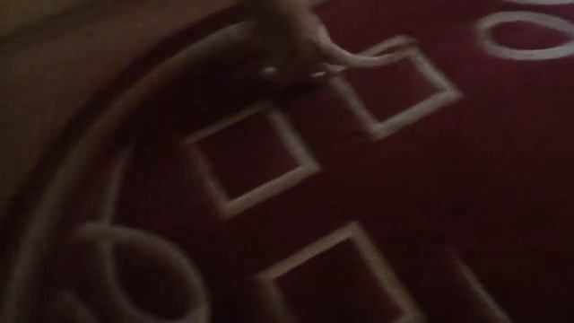 У меня тупой кот))) смотреть онлайн