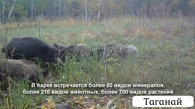 Место силы
