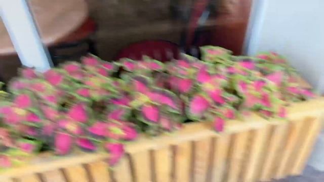 Переезд в Ростов на Дону утро в городе смотреть онлайн