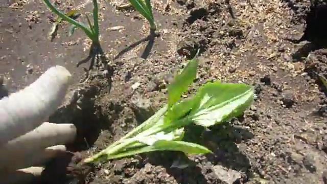 совмещённые посадки,часть2 смотреть онлайн