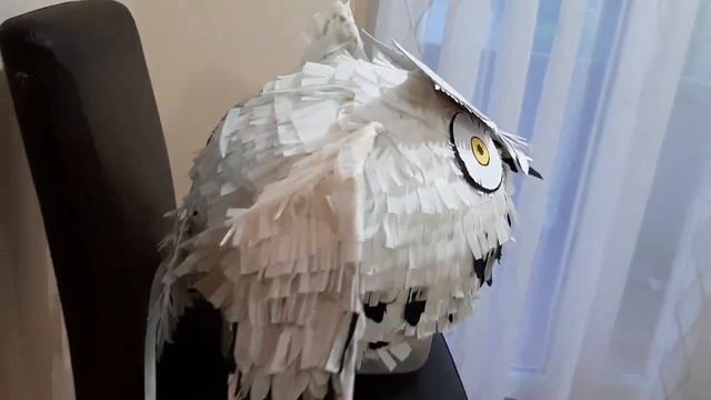 Пиньята сова. смотреть онлайн