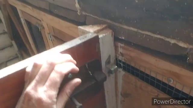 козовник готов??❗содержание коз