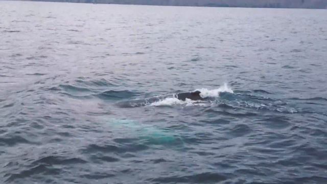 Исландия за 5 минут смотреть онлайн