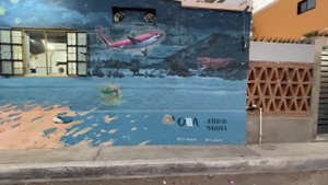 La Paz, Mexico alley murals