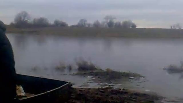 Паводок в Ростовской области смотреть онлайн