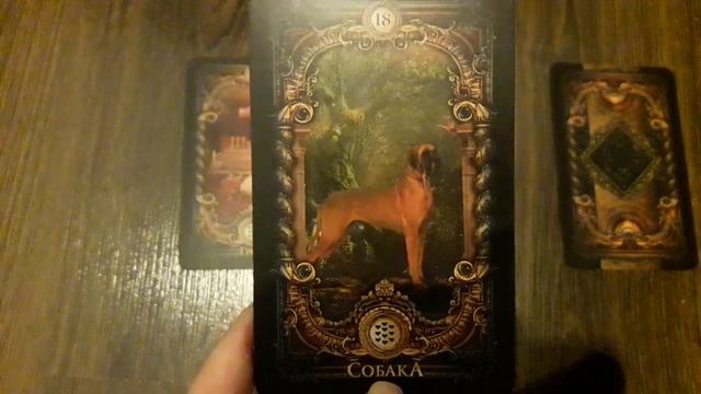 АВГУСТ Характер и Судьба людей рожденных в Августе смотреть онлайн