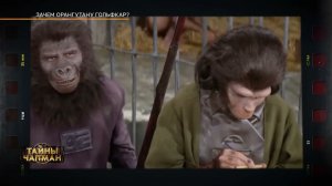 ЗАЧЕМ ОРАНГУТАНУ ГОЛЬФКАР? Эфир программы Тайны Чапман от 26.06.2024
