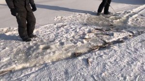 Ноглики.Рыбалка!