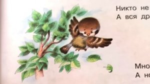 ЗАГАДКИ о животных и растениях для детей