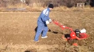 Мотоблок Салют-100