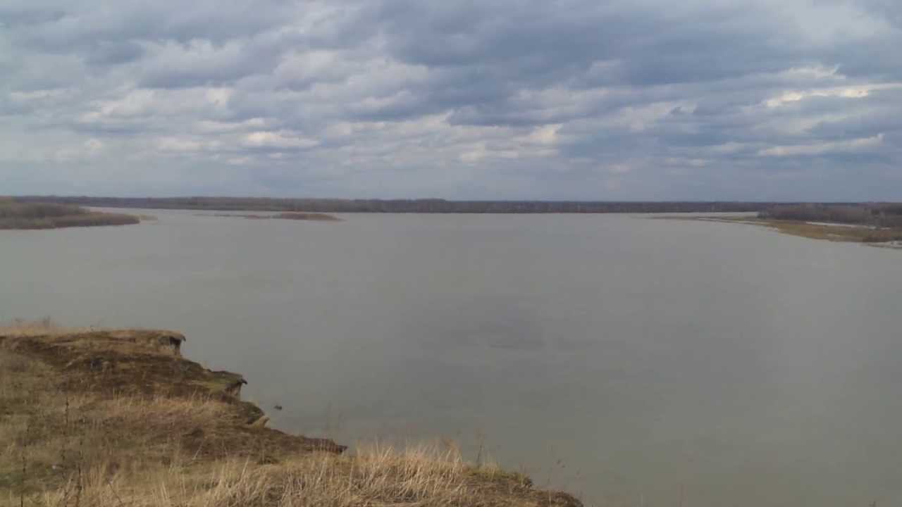 Кривошеино. Обь. Вид с яра смотреть онлайн